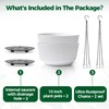 T4U 10 Inch Hanging Planters for Indoor Plants, 2 Pack
