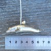 Dolphin Pewter Light Pull Traditional Switch Weight Handle Bathroom Light