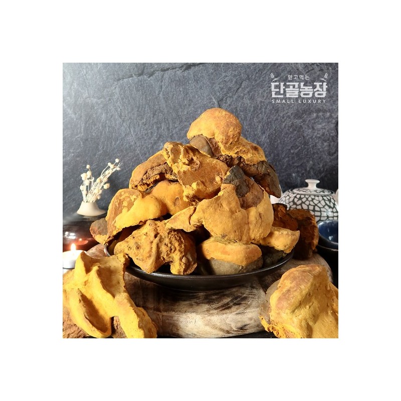 Fresh Day Ryu Chung-hyun Mushroom Master Sanghwang Mushroom Gift Set