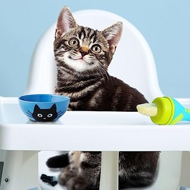 Fromm Fromm Kitten Gold Dry Cat Food - Premium Cat Food for Kittens & Pregnant or Nursing Cats - Chicken Recipe - 10 lb