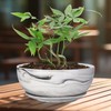 G EPGardening 10Inch Large Planter Marble Pattern Ceramic Succulent Planter