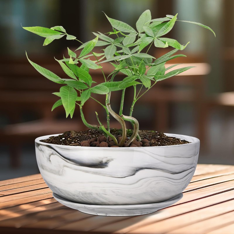 G EPGardening 10Inch Large Planter Marble Pattern Ceramic Succulent Planter
