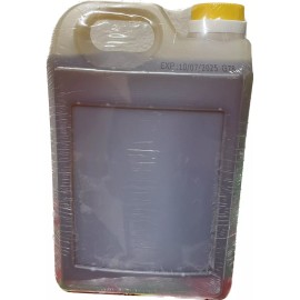 Gemini Food 6.61 Pounds Artificial Longan Flavor Blend of Corn Syrup and Honey From Taiwan