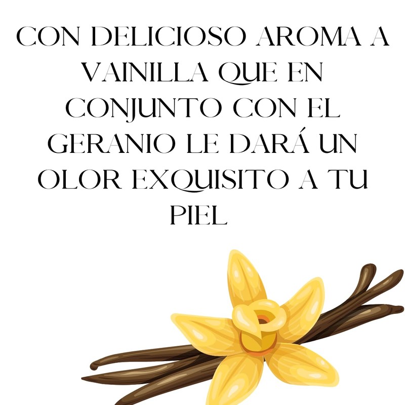 OLEUM VITAE Body Lotion. Crema Corporal Con Aceite Esencial De