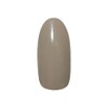 PREGEL Muse PGU-M094 Color Gel Mocha Shake, 0.1 oz (3