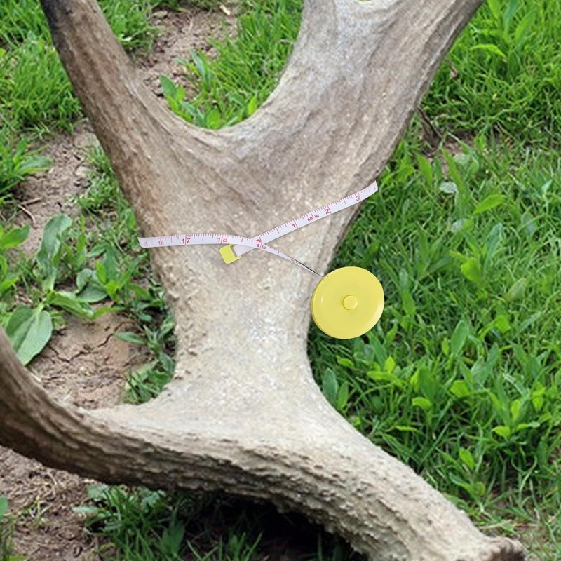 6 PCS Double Scale Antler Measuring Tapes for Deer and