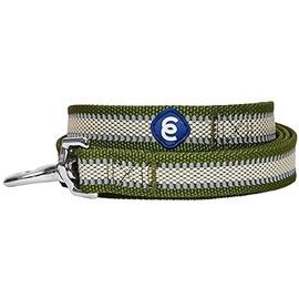Blueberry Pet Essentials Reflective Back to Basics Dog Leash, Dark Olive, 5 ft x 5/8", Small, Leashes for Dogs