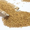 Incha 호로파 씨앗 호로파씨 페누그릭 호파 1kg (500gX2개) Hulled Fenugreek