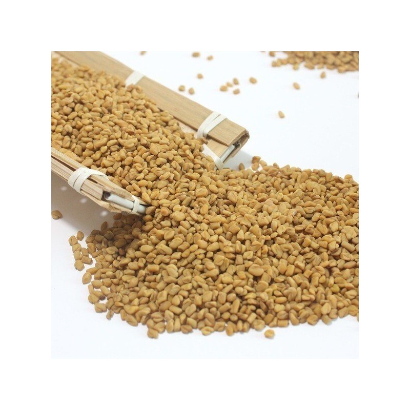 Incha 호로파 씨앗 호로파씨 페누그릭 호파 1kg (500gX2개) Hulled Fenugreek