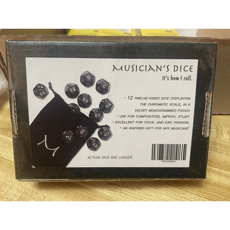 Generic Musician's Dice Song Writing Teaching Tool Improv Learning Aid