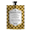 The Renaissance Circle Mascarilla Reparadora Davines