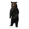 Cardboard People Brown Bear Life Size Cardboard Cutout Standup