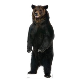 Cardboard People Brown Bear Life Size Cardboard Cutout Standup