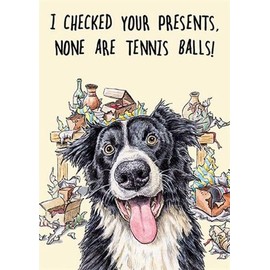 Male/Female Birthday Card - General Funny Dog Card for Men/Women - Border Collie Tennis Ball Presents - Eco-Friendly and Recyclable - by The Great British Card Company