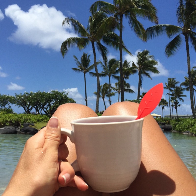 Teami Tea Infuser, Red, 1.5 Oz.