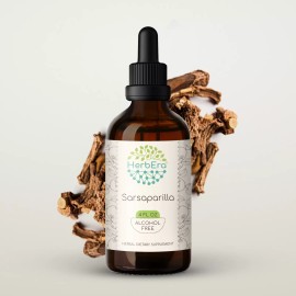 HerbEra Sarsaparilla Alcohol-FREE Tincture Organic (Hemidesmus indicus) - 4 fl oz