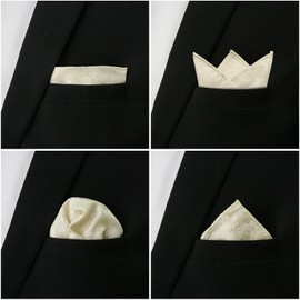 GHTIYLP Men's Handkerchiefs with Pocket Square Holder Paisley Pocket Square Handkerchief for Men Wedding Party Business (Beige)