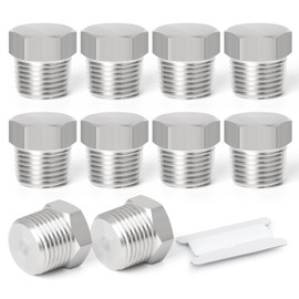 TAISHER 10 Pcs Stainless Steel Outer Hex Thread Socket Pipe Plug Fitting 1/8" BSP Male, for Water Oill Air Gas