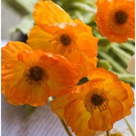 DUYONE - Ramo de Flores Artificiales de Seda de Amapola de 6 Tallos para Boda, hogar, decoración de Fiesta, Centro de Mesa (Naranja)