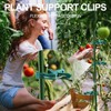 FAINCA Pack of 24 Plant Clips, Plastic Plant Clips, Non-Ageing