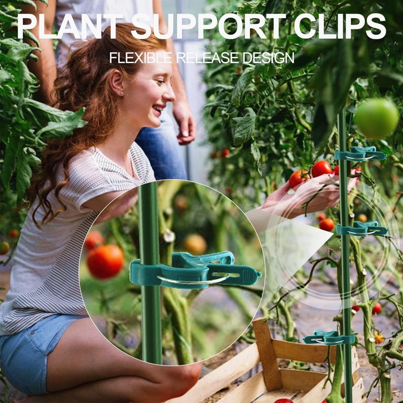 FAINCA Pack of 24 Plant Clips, Plastic Plant Clips, Non-Ageing