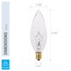 KOR (Pack of 12 CTC Clear Candelabra Base (E12) Straight