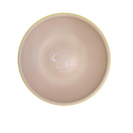 Marimo Craft Round Plate S YE Drawing SN&WS Diameter 5.9 x Height 1.6 inches (150 mm) x Height 1.6 inches (40 mm) SPIK-284