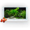 Aquatic Plant Aquarium Background, Green Seagrass Lake River Bed Fish