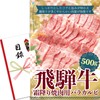 Prize Panel (Hida Beef Marbled Baracalbi, 17.6 oz (500 g),