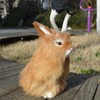 Basuo-9Q Realistic Jackalope Furry Wild Animal Replica Figurine Easter Bunny