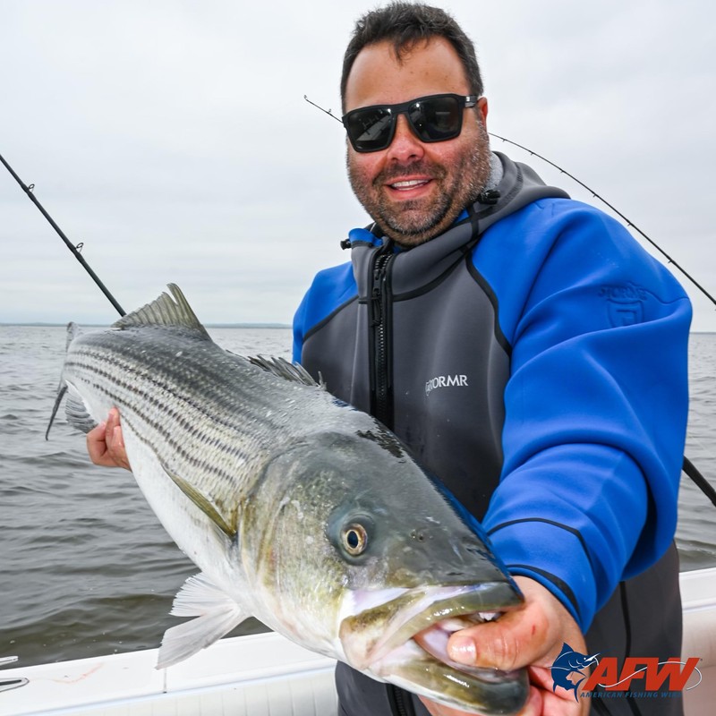 American Fishing Wire Single Barrel Crimp Sleeves, Black, 0.025-Inch Inside