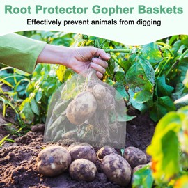 M METERXITY 2-Pack 1 Gallon Plant Root Protector 10x9 Inch, Stainless Stainless Root Guard Baskets Wire Mesh Garden Protection Netting for Tree/Tubers/Crops/Flower/Vegetables/Fruit