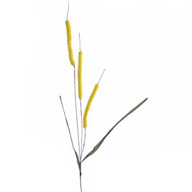 Factory Direct Craft Group of 12 Colorful Yellow Artificial Cattails for Arranging, Crafting and Embellishing