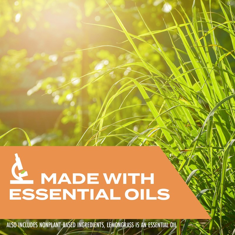 Stem Kills Wasps, Hornets And Yellow Jackets: Plant-Based Active Ingredient