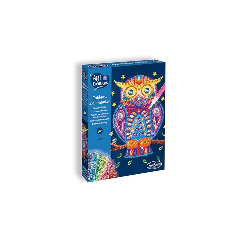 SENTOSPHERE - Rhinestone Owl Painting