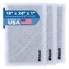 RAYAIR SUPPLY 18x24 Replacement Filter Pads Compatible with ARS Rescue