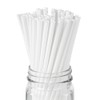 Basic Nature 8.3 Inch Compostable Straws, 100 Disposable Straws -