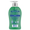 Softsoap Limited Edition Wonderful Winter Liquid Hand Soap, 11.25 oz,