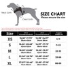 FYY Dog Harness No Pull, Breathable Adjustable Pet Vest, Reflective