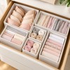 Foldable Underwear Organizer for Drawer Storage – 6/12-Piece Polyester Set