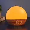 Sunrise Alarm Clock with Sound Machine - Wake Up Light,