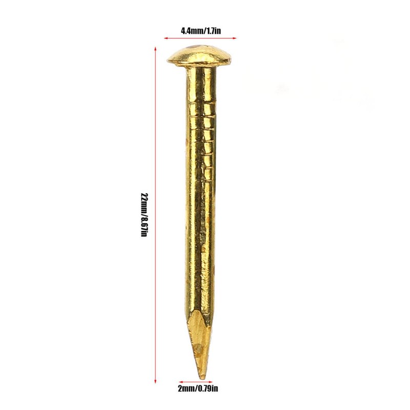 Kodrily Gold Small Nails, 100PCS Hardware Nails Assortment Kit, Round
