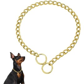 Dog Chain Collars, Metal Choke Link Dog Collar Choker Training Heavy Duty Slip Martingale Puppy Collars for XS Small Medium Large Big XL Breed Dogs (Gold, XL(Neck Max 22inch) D4.0mm)