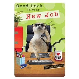 Piccadilly Greetings Group Ltd FANTASTIC COLOURFUL MEERKAT AT WORK GOOD LUCK IN YOUR NEW JOB GREETING CARD,green|brown|black|red|yellow,7 x 5
