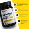 Ayorish Apricot Extract 25:1 (120 Capsules) 500 mg per Capsule,