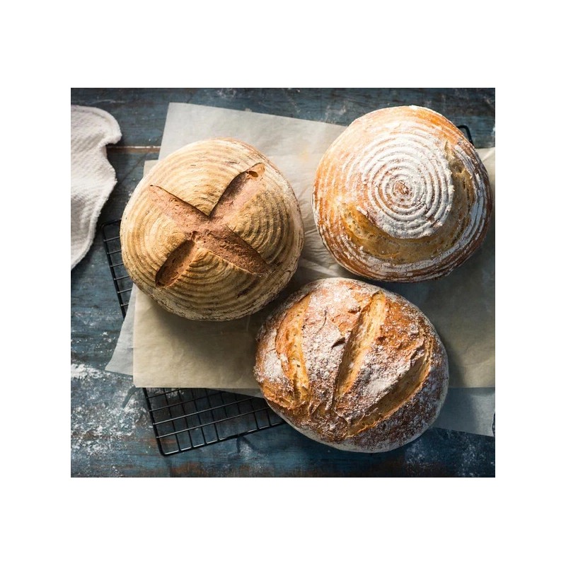 Heritage Sour SAN FRANCISCO SOURDOUGH STARTER DEHYDRATED ACTIVE STRONG SOUR