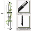 6ft Garden Obelisk Trellis for Climbing Plants-Rustproof Metal Pipe with