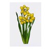 'Daffodils' Temporary Tattoo - Water Resistant, Skin-Safe, Non-Toxic Transfer (TO00049970)