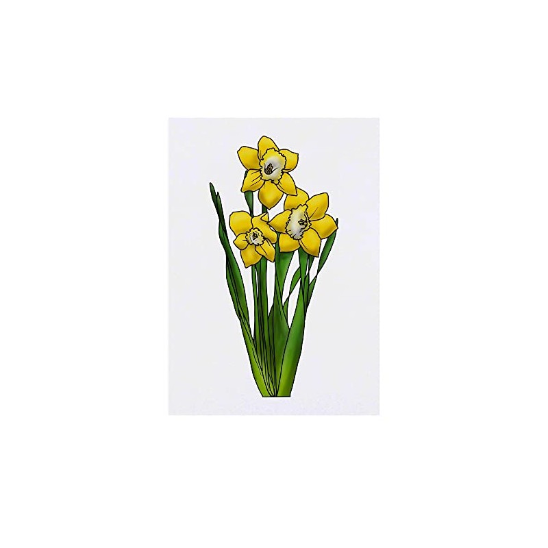 'Daffodils' Temporary Tattoo - Water Resistant, Skin-Safe, Non-Toxic Transfer (TO00049970)