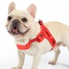 Dog Harness Small Medium Large Dog Vest Harness Step In